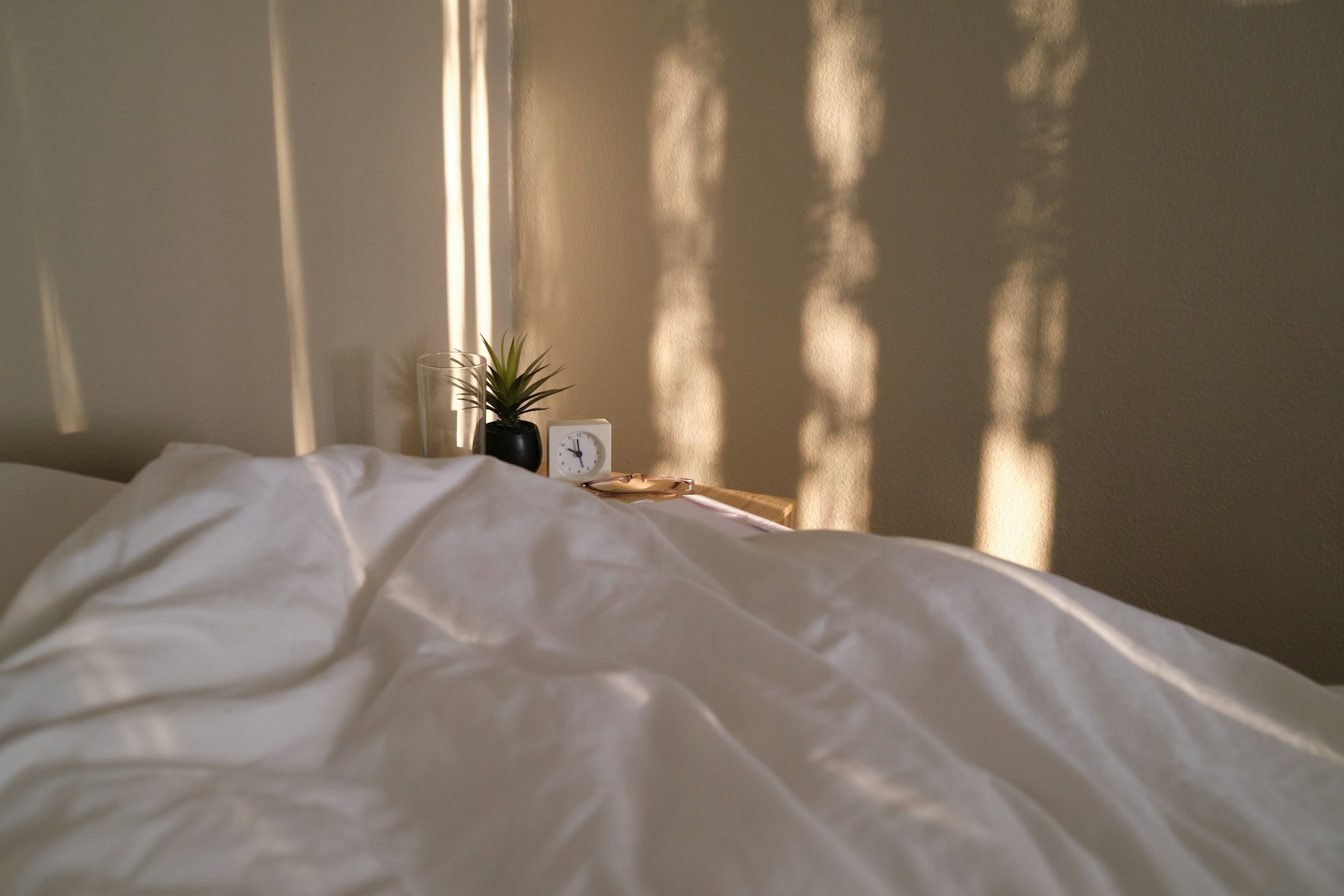 Bed Bug Treatment